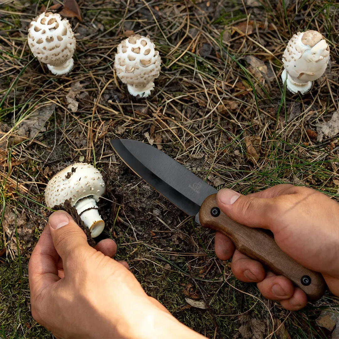 BeaverCraft Shadow BSH5 bushcraftkniv sort compact