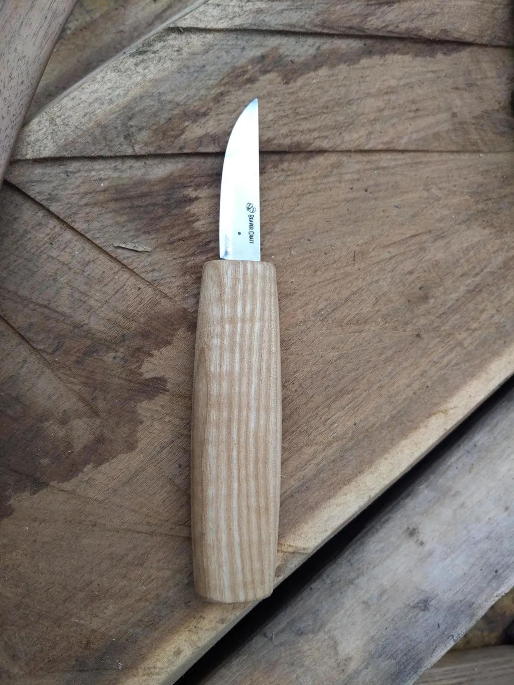 BeaverCraft DIY05 Bear snittesæt til begynder