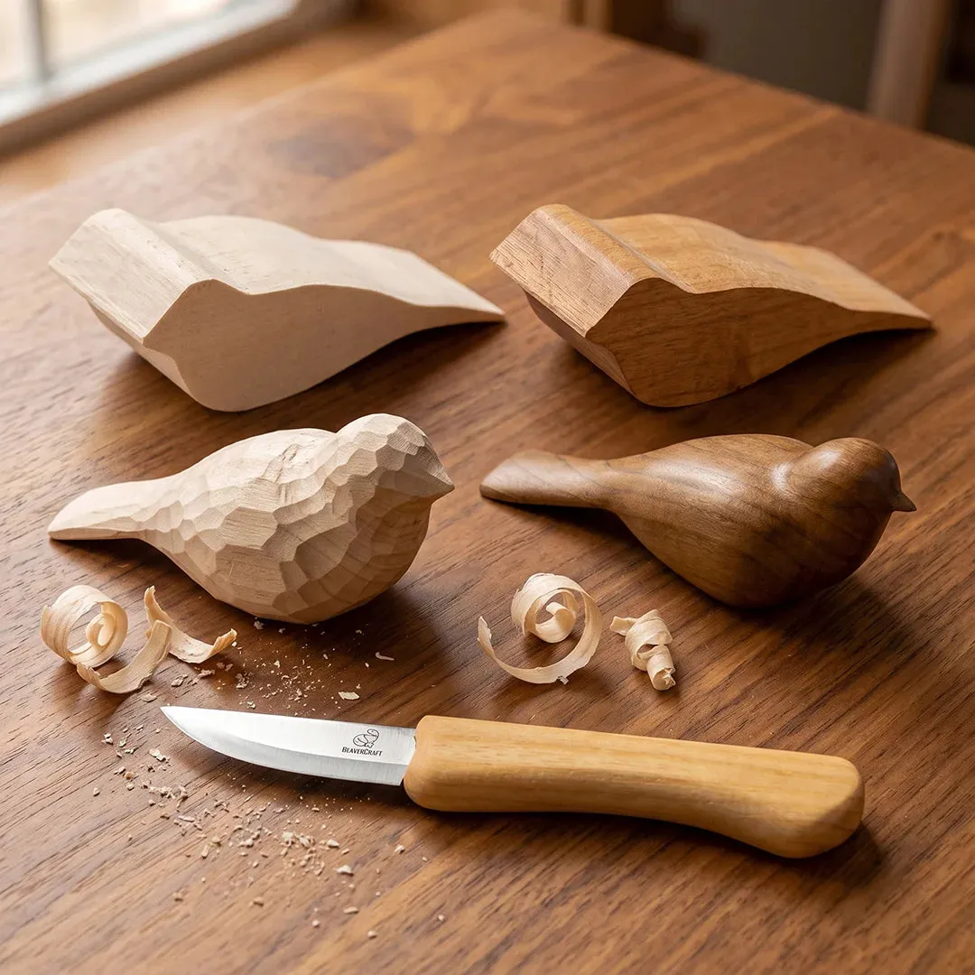 BeaverCraft DIY01 Comfort Bird skæresæt fugl + 2 klodser