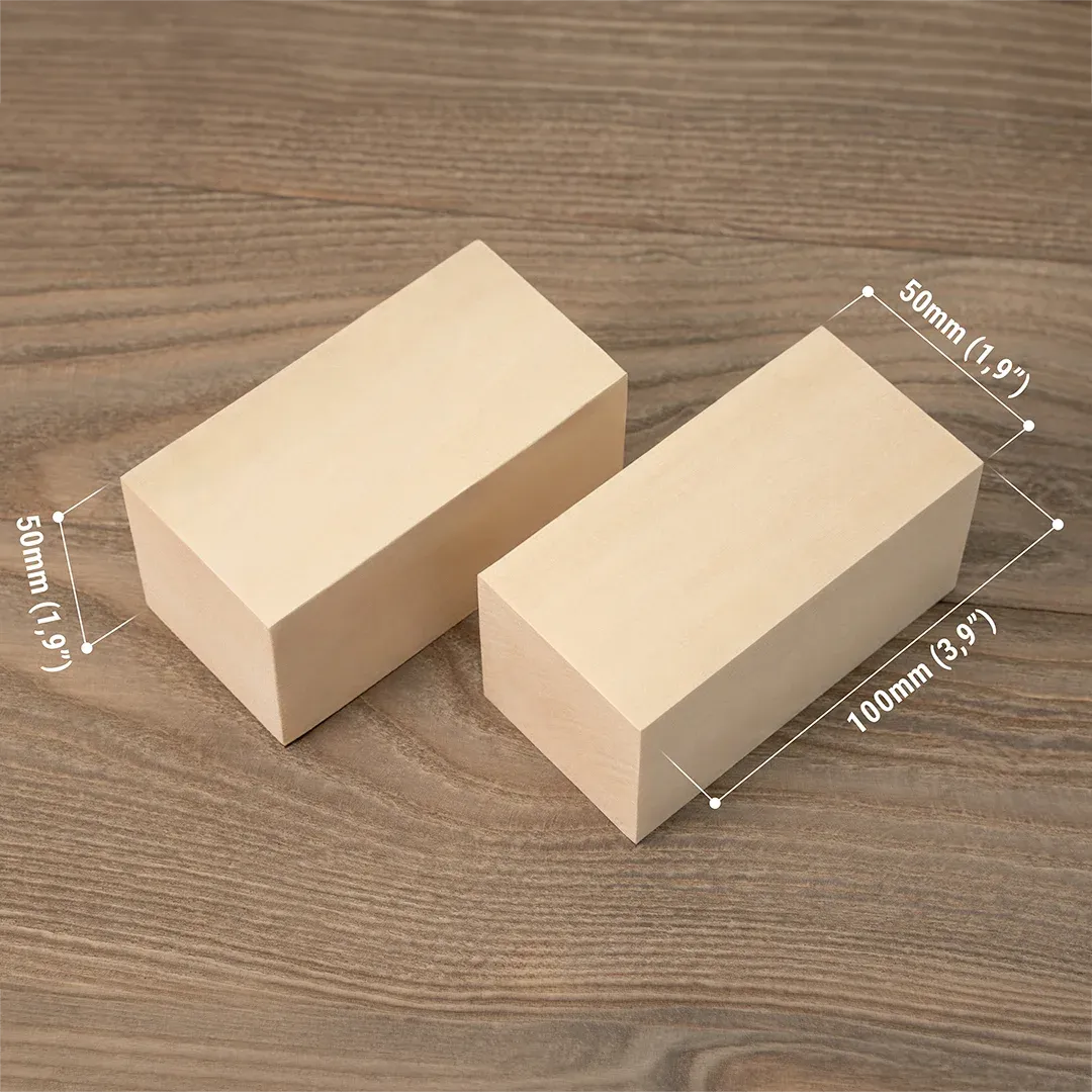 BeaverCraft DIY09 snittesæt svampe med 2 knive