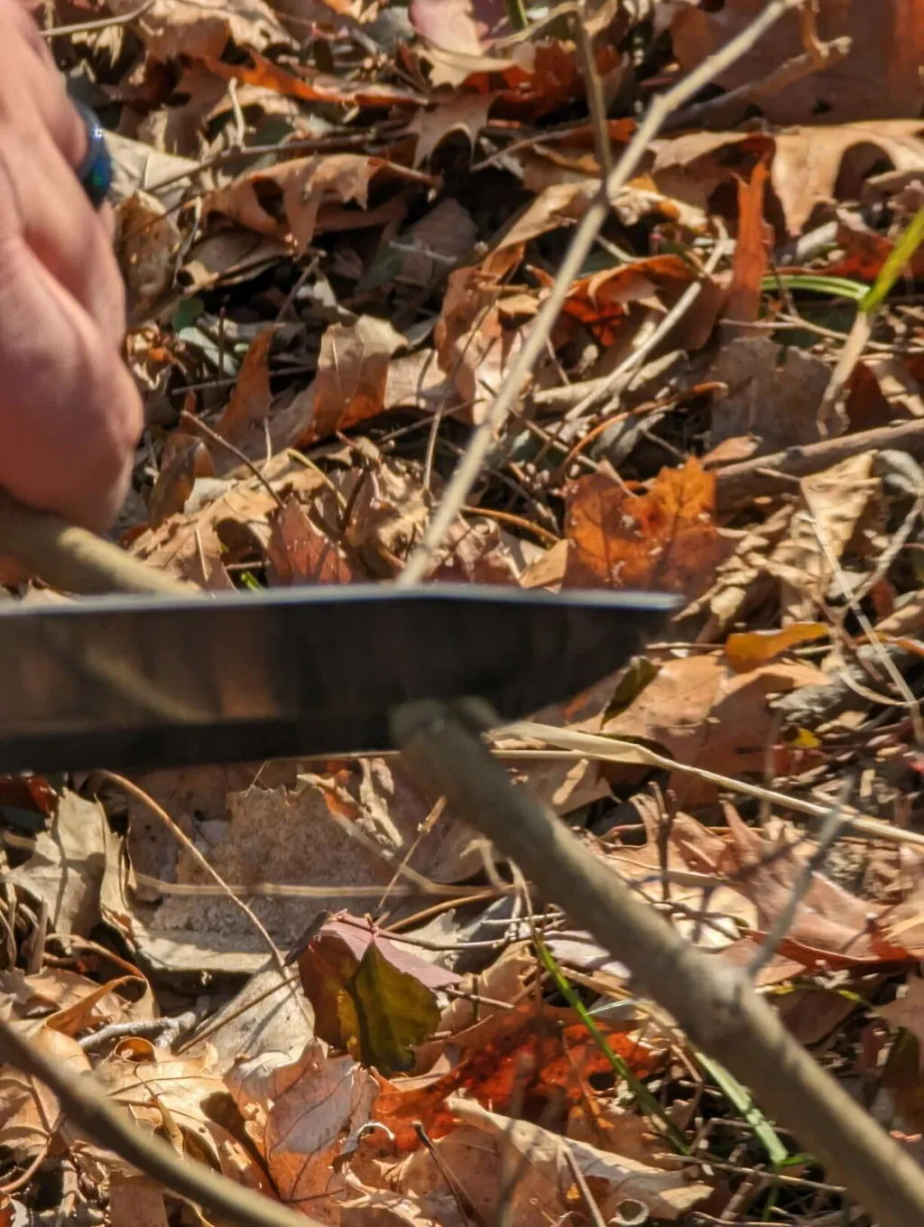BeaverCraft Glacier bushcraftkniv carbonstål læderskede